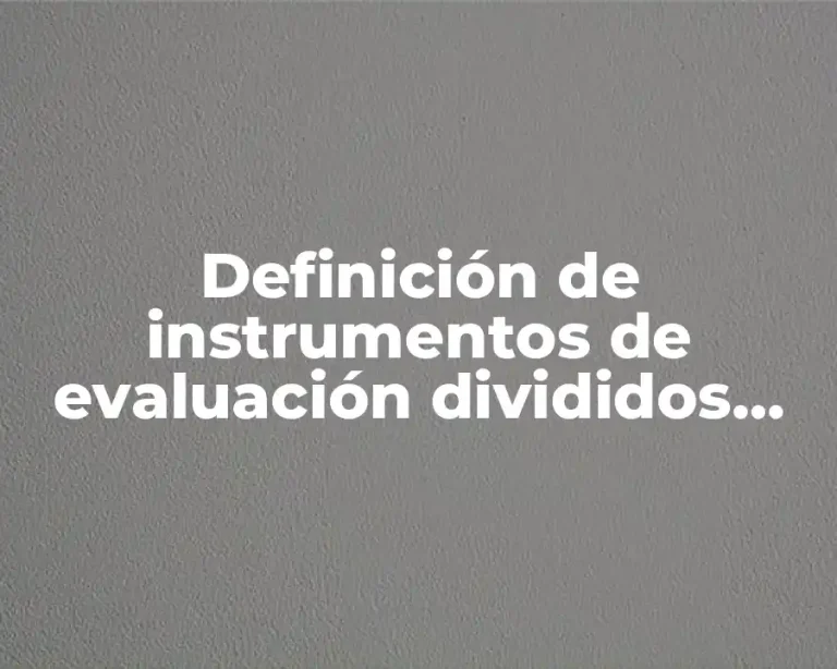 Definición de instrumentos de evaluación divididos por secciones o temáticas