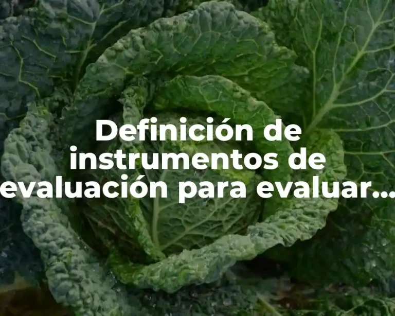 Definición de instrumentos de evaluación para evaluar el sistema educativo