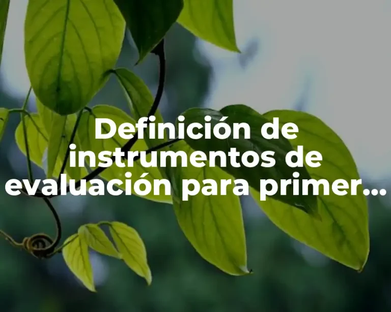 Definición de instrumentos de evaluación para primer grado de primaria