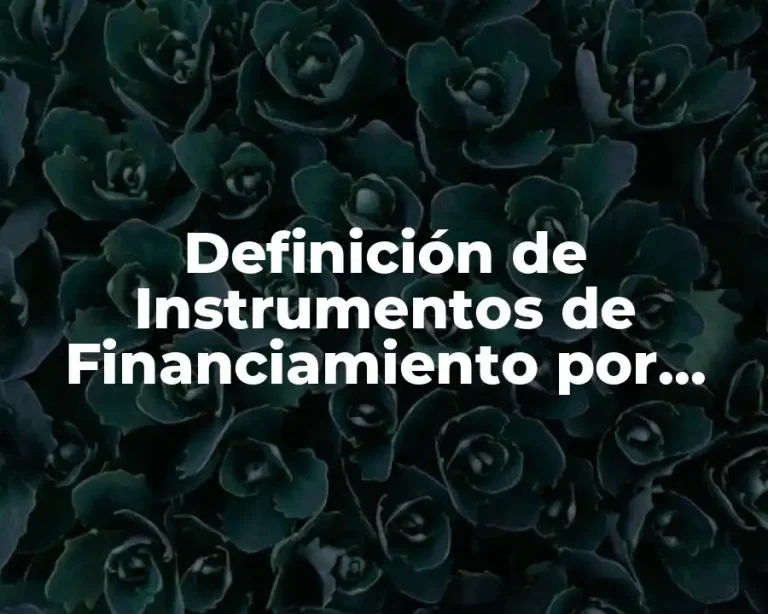 Definición de Instrumentos de Financiamiento por Cobrar