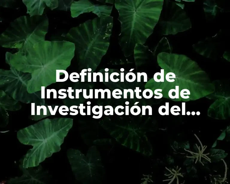 Definición de Instrumentos de Investigación del Aprendizaje