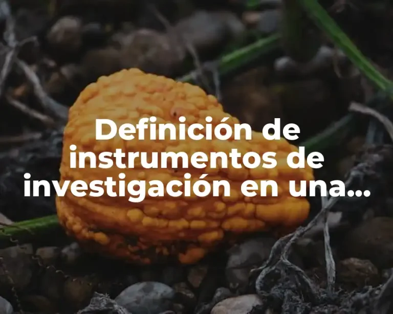 Definición de instrumentos de investigación en una tesis