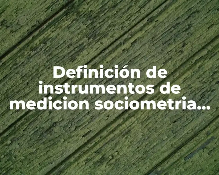 Definición de instrumentos de medicion sociometria en una investigacion