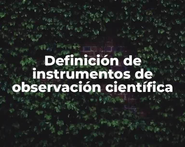 Definición de instrumentos de observación científica