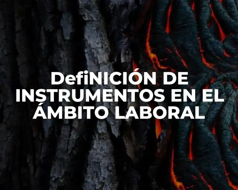 DefiNICIÓN DE INSTRUMENTOS EN EL ÁMBITO LABORAL