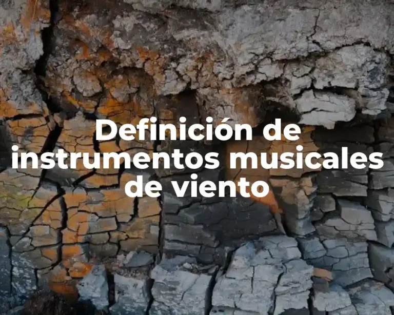 Definición de instrumentos musicales de viento
