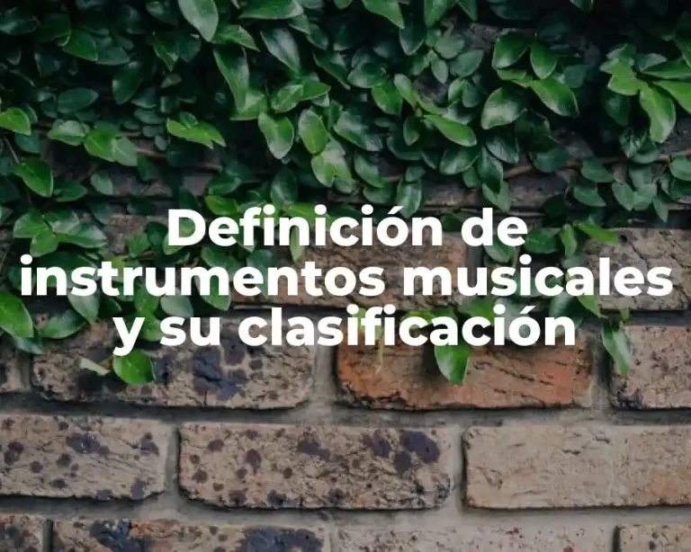 Definición de instrumentos musicales y su clasificación