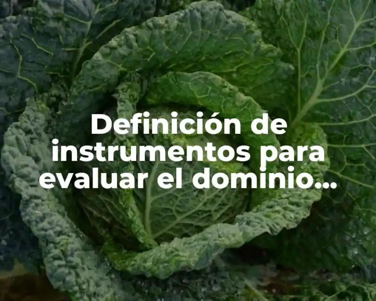 Definición de instrumentos para evaluar el dominio afectivo o emocional