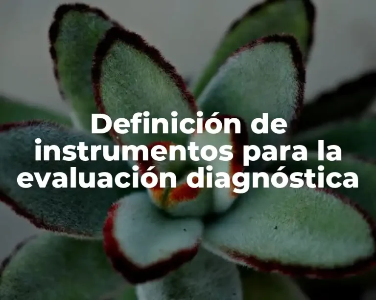 Definición de instrumentos para la evaluación diagnóstica