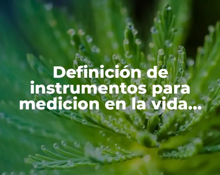 Definición de instrumentos para medicion en la vida cotidiana