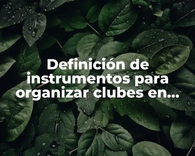 Definición de instrumentos para organizar clubes en educación preescolar