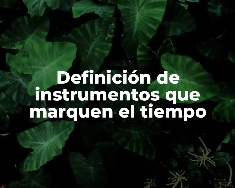 Definición de instrumentos que marquen el tiempo