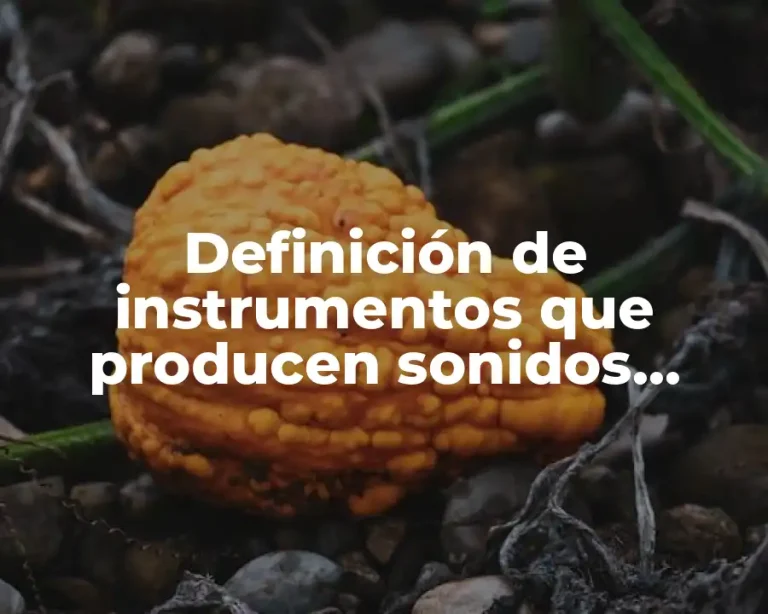 Definición de instrumentos que producen sonidos graves