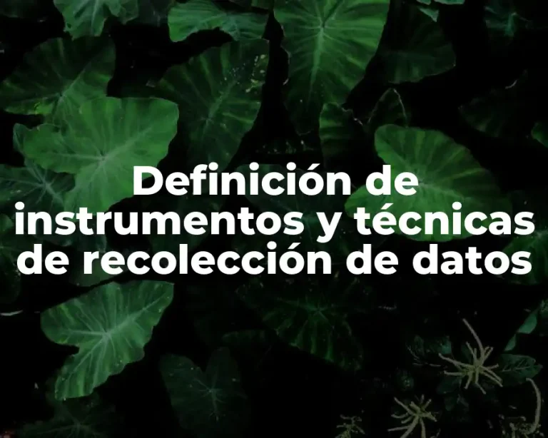 Definición de instrumentos y técnicas de recolección de datos