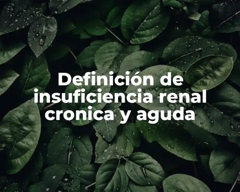 Definición de insuficiencia renal cronica y aguda