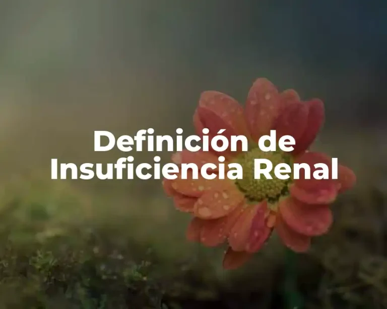 Definición de Insuficiencia Renal