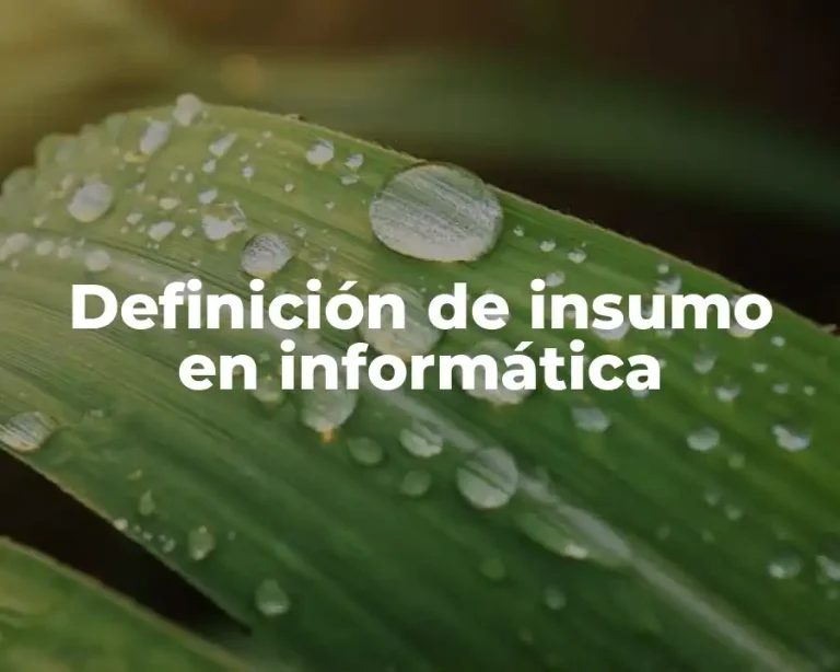 Definición de insumo en informática