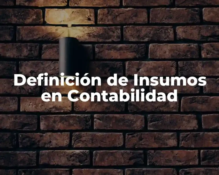 Definición de Insumos en Contabilidad