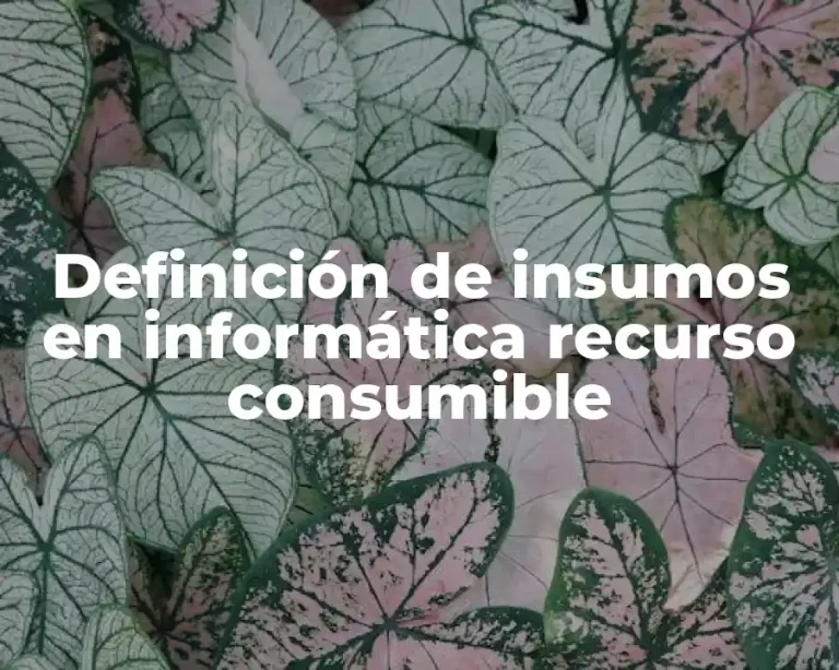 Definición de insumos en informática recurso consumible