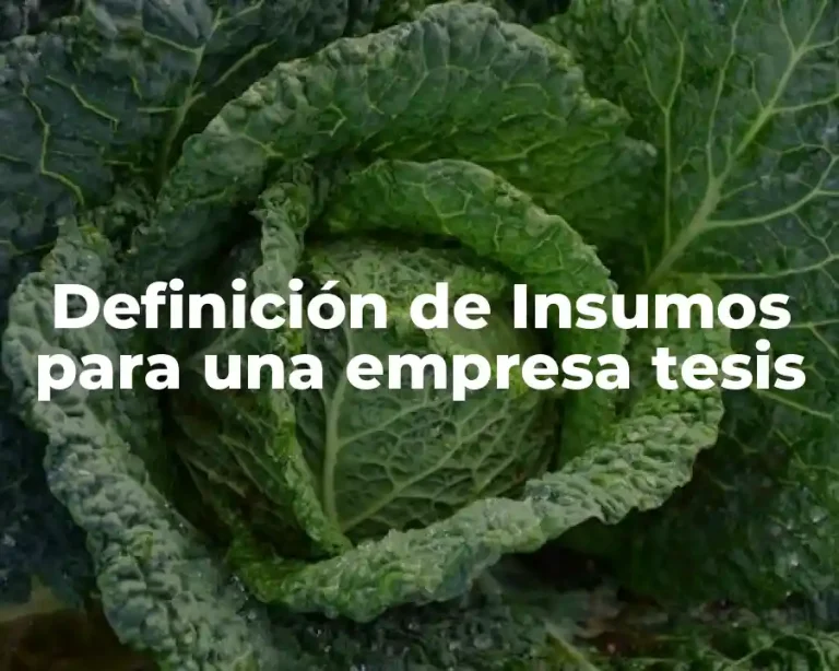 Definición de Insumos para una empresa tesis