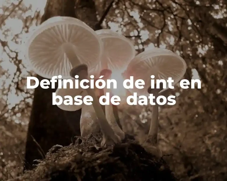 Definición de int en base de datos