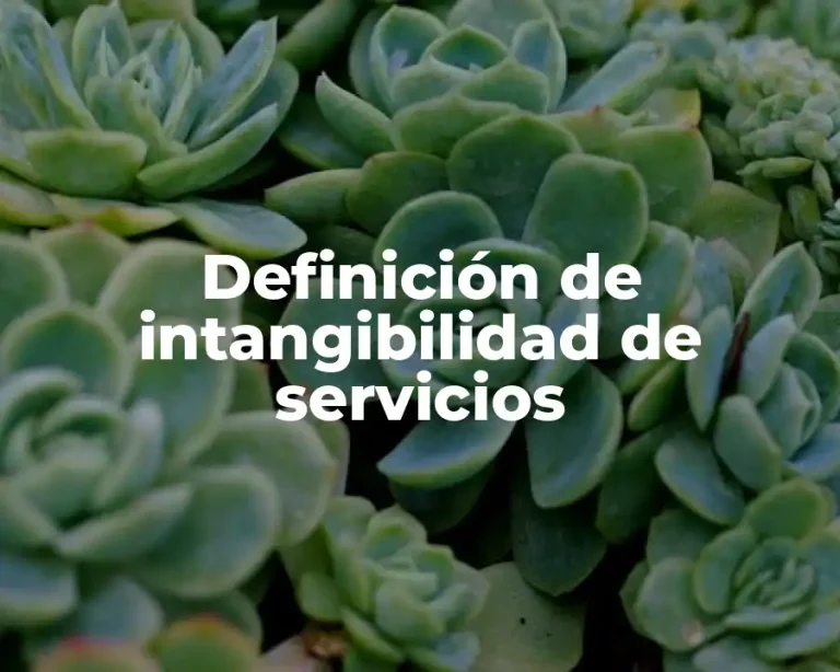 Definición de intangibilidad de servicios