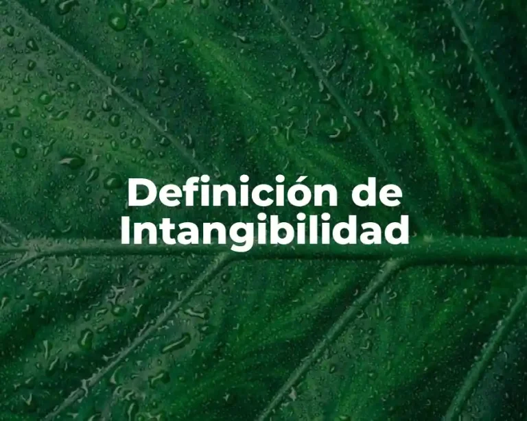 Definición de Intangibilidad