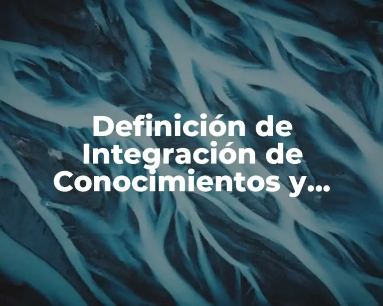 Definición de Integración de Conocimientos y Competencias