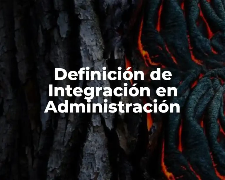 Definición de Integración en Administración