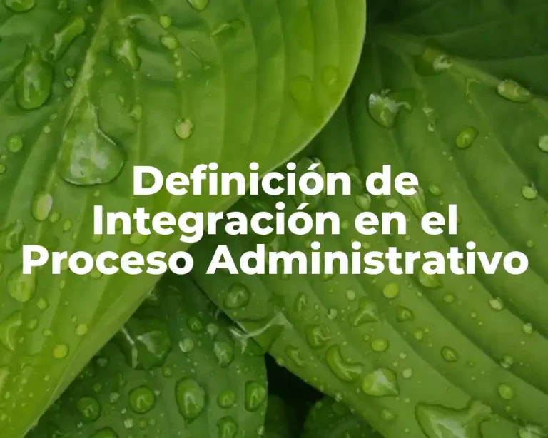 Definición de Integración en el Proceso Administrativo