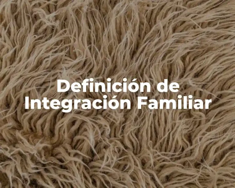Definición de Integración Familiar