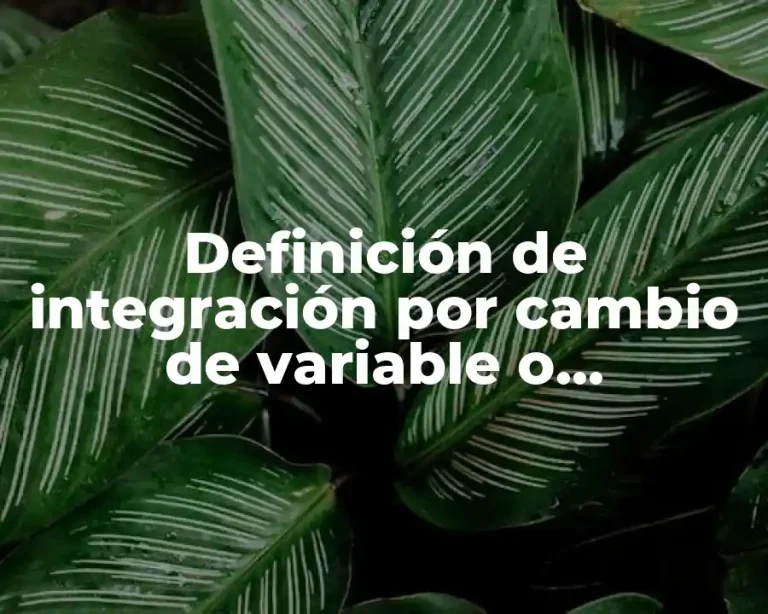 Definición de integración por cambio de variable o sustitución