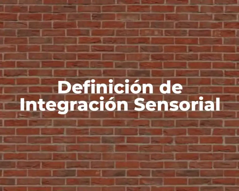 Definición de Integración Sensorial
