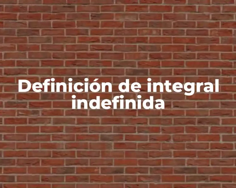 Definición de integral indefinida