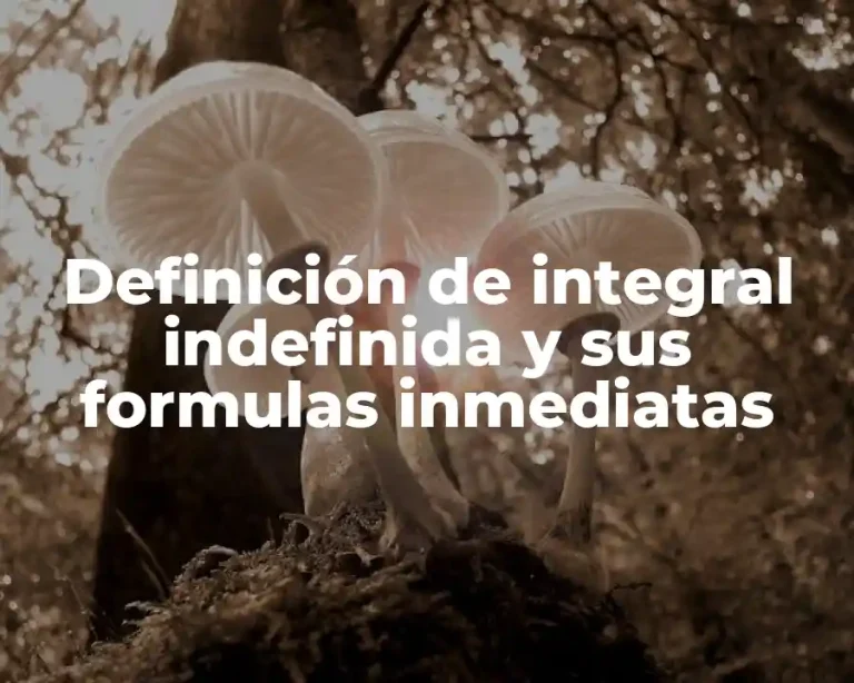 Definición de integral indefinida y sus formulas inmediatas