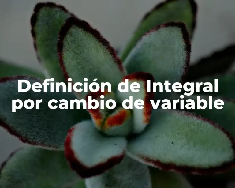 Definición de Integral por cambio de variable