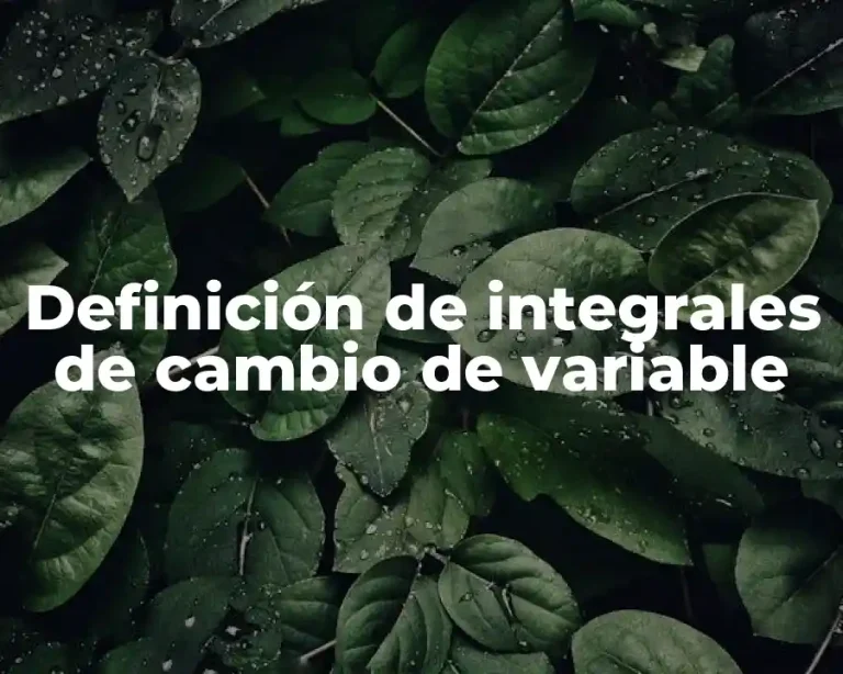 Definición de integrales de cambio de variable