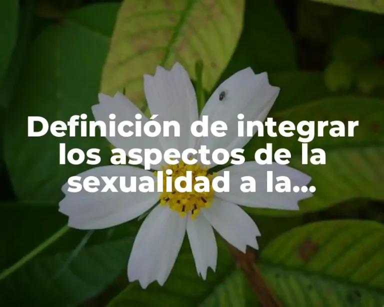 Definición de integrar los aspectos de la sexualidad a la personalidad