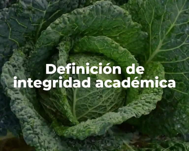 Definición de integridad académica
