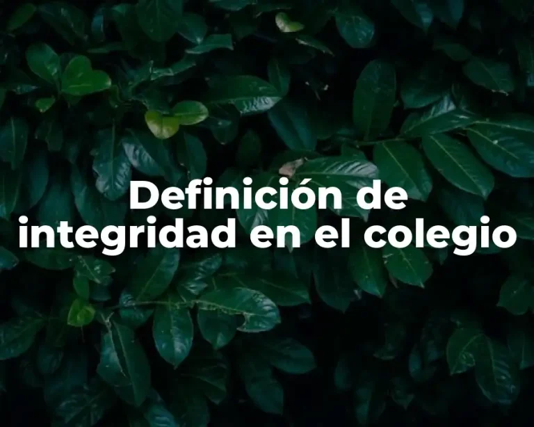 Definición de integridad en el colegio