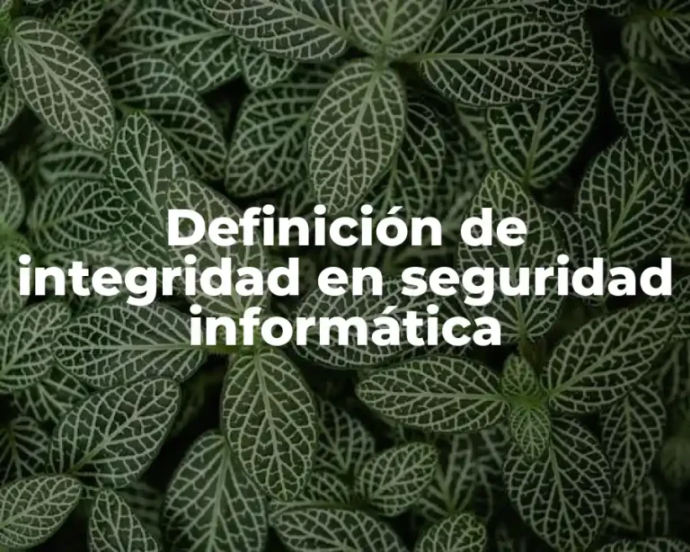 Definición de integridad en seguridad informática