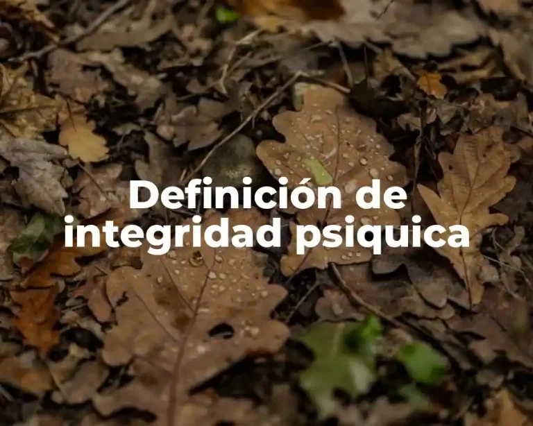 Definición de integridad psiquica
