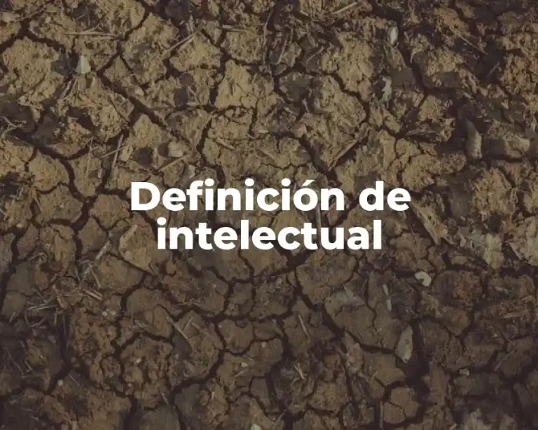 Definición de intelectual