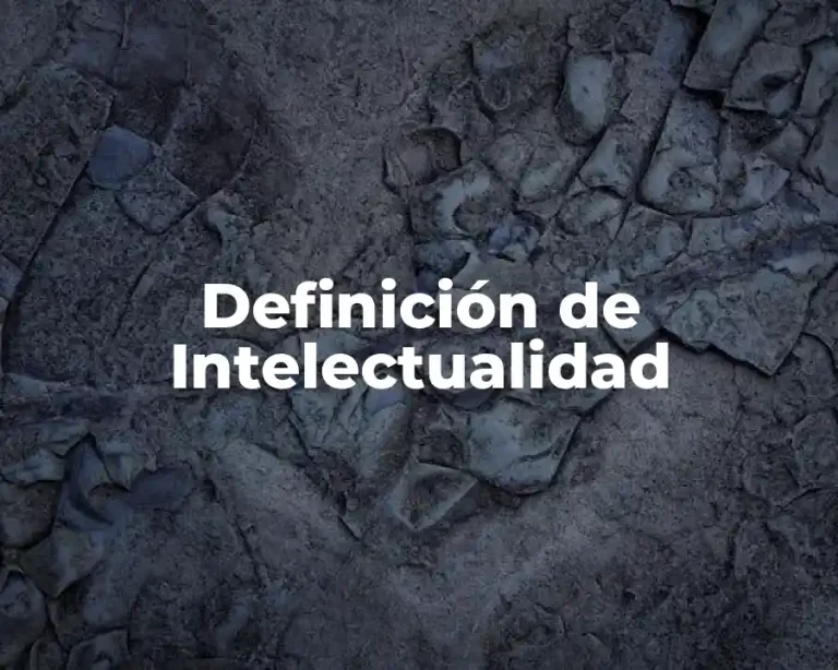 Definición de Intelectualidad