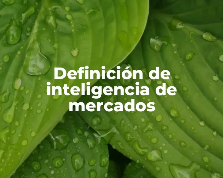 Definición de inteligencia de mercados