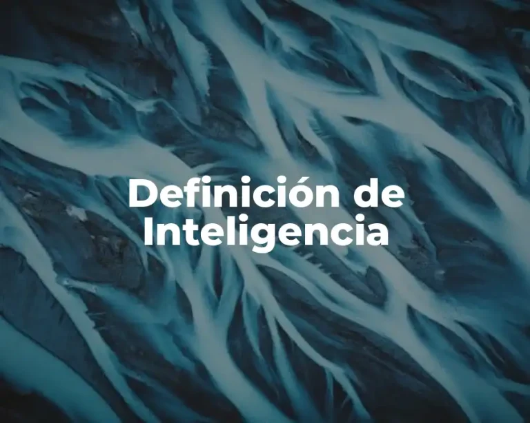 Definición de Inteligencia