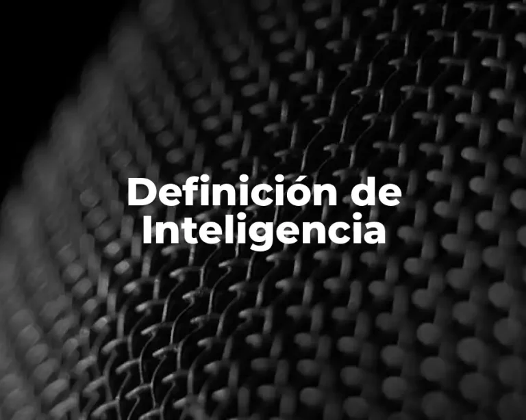 Definición de Inteligencia
