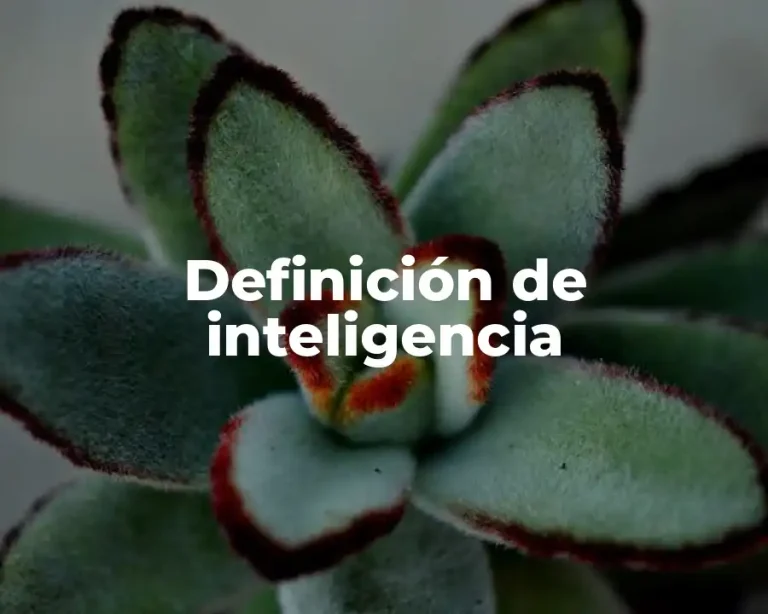 Definición de inteligencia