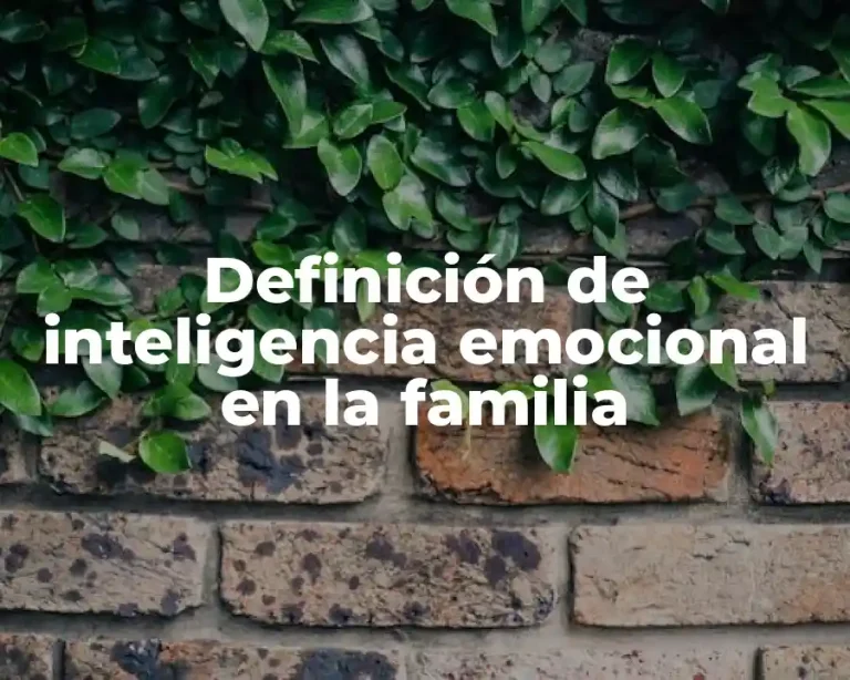 Definición de inteligencia emocional en la familia