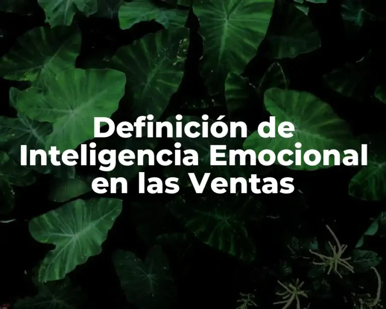 Definición de Inteligencia Emocional en las Ventas